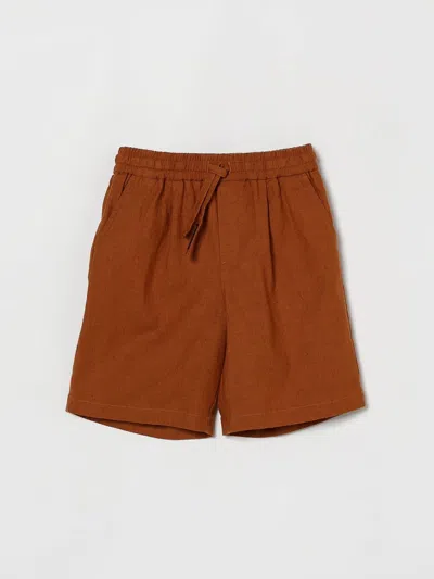 Dolce & Gabbana Shorts  Kids Color Camel In Multi