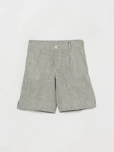 Dolce & Gabbana Shorts  Kids Color Green In Gray