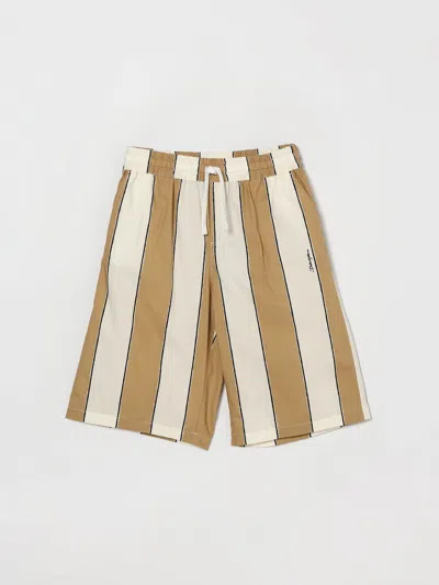 Dolce & Gabbana Shorts  Kids Color Multicolor In Gray