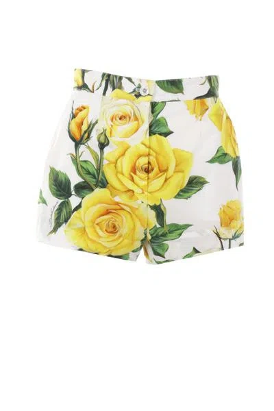 Dolce & Gabbana Shorts In Yellow Roses.