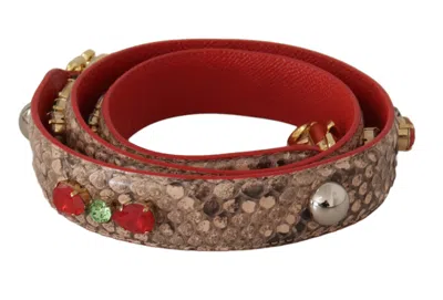 Dolce & Gabbana Shoulder Strap In Brown