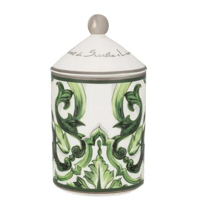 Dolce & Gabbana Sicilian Neroli And Lemon Scented Candle (340g) In Green
