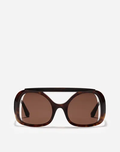 Dolce & Gabbana Sicilian Street Sunglasses In Brown