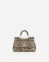 Dolce & Gabbana Leather Handbag With Animalier Print In Brown
