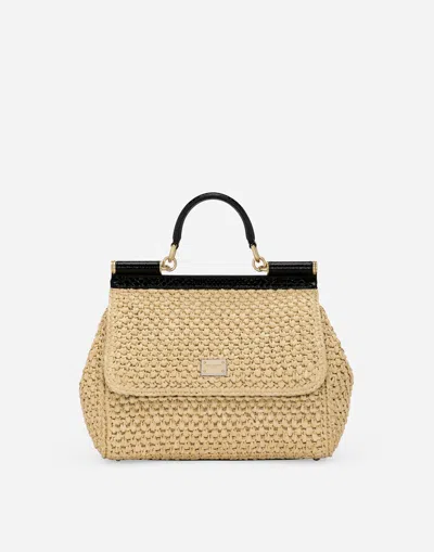 Dolce & Gabbana Large Sicily Handbag In マルチカラー
