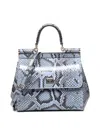 Dolce & Gabbana Sicily Bag In Brown
