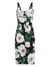 Dolce & Gabbana Multicolor Gardenia Print Midi Dress In Green