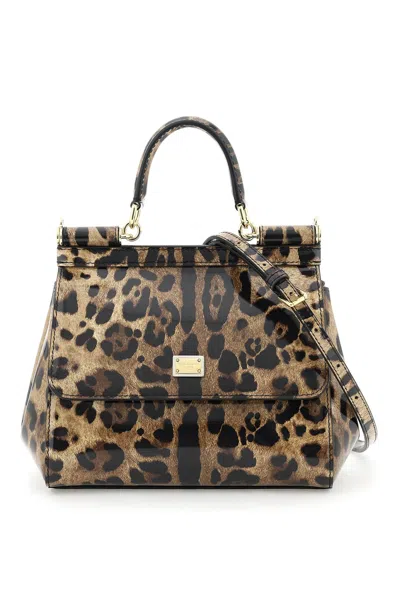 Dolce & Gabbana Sicily Handbag In Leo