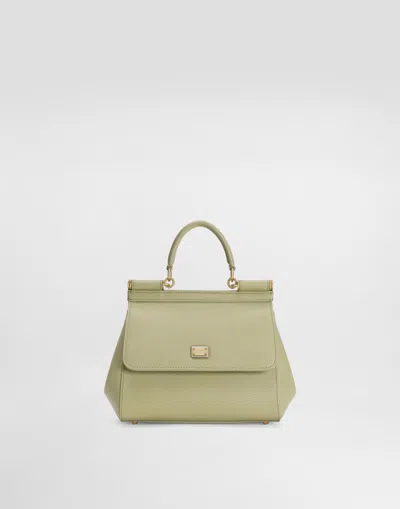 Dolce & Gabbana Sicily Medium Handbag In Green