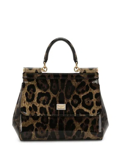 Dolce & Gabbana Sicily Medium Leopard Print Handbag In Brown