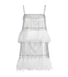 Dolce & Gabbana Silk-blend Rhinestone Feather Mini Dress In Silver