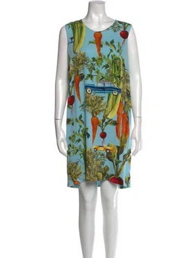 Pre-owned Dolce & Gabbana Silk Mini Dress In Blue