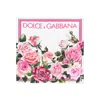 Dolce & Gabbana Logo-print Scarf
