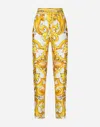 Dolce & Gabbana Silk Twill Pants In Print
