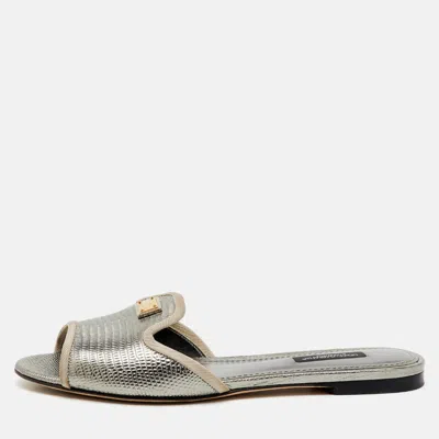 Pre-owned Dolce & Gabbana Silver Iguana Laminated Leather Flat Slide Sandals Size 36.5