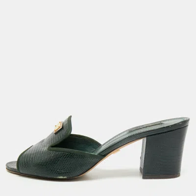 Pre-owned Dolce & Gabbana Size 40.5 Green Lizard Embossed Leather Logo Slide Sandals