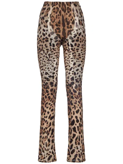 Dolce & Gabbana Skinny Animal Print Pants In Multi