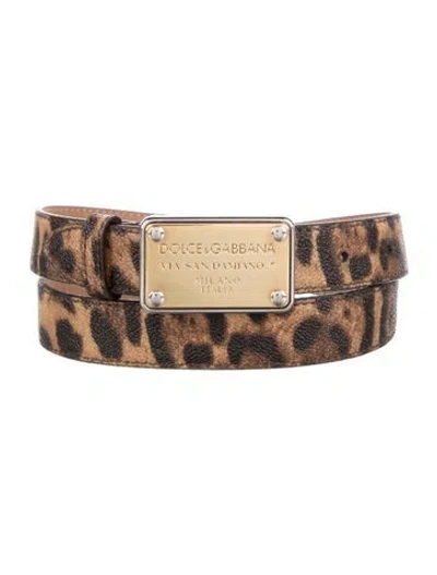 Pre-owned Dolce & Gabbana Skinny Belt In Multicolor