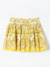 Dolce & Gabbana Poplin Skirt In Bunt