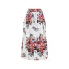 Dolce & Gabbana Skirt In Multi