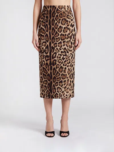 Dolce & Gabbana Skirt Woman Color Savannah In Brown