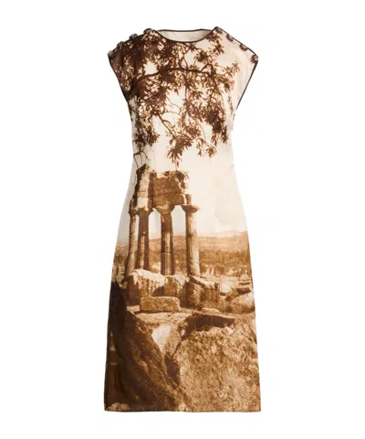 Dolce & Gabbana Sleeveless Bodycon Dress In Brown