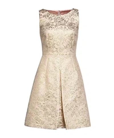 Dolce & Gabbana Sleeveless Color-block Dress In Brown