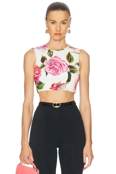 Dolce & Gabbana Sleeveless Cropped Top In Rose Rosa