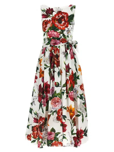 Dolce & Gabbana Sleeveless Dress In Cotton Poplin Flower Print In Multi