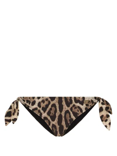 Dolce & Gabbana Slip Bikini Con Stampa Leopardata Dolce E Gabbana In Brown