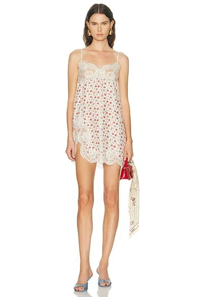 Dolce & Gabbana Slip Dress In Multi