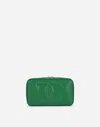 Dolce & Gabbana Small Calfskin Dg Logo Camera Bag In Green