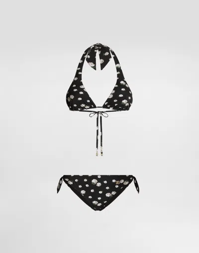 Dolce & Gabbana Small Rose-print Bikini In Multi