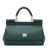 Dolce & Gabbana Bags In Green