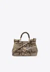 Dolce & Gabbana Leather Handbag With Animalier Print In Brown