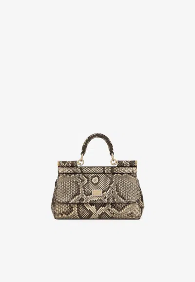 Dolce & Gabbana Small Sicily Top Handle Bag In Python Embossed Leather In Multicolor