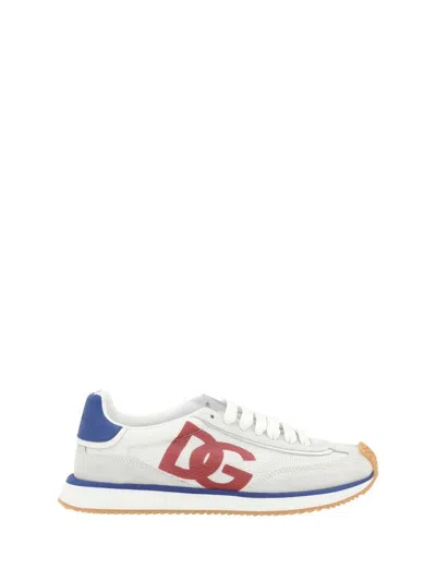 Dolce & Gabbana Sneakers In Gray
