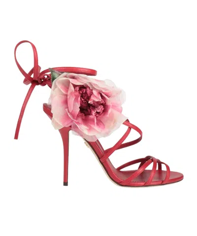 Dolce & Gabbana Solid Color Sandals In Pink