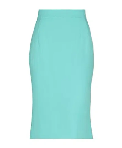 Dolce & Gabbana Solid Flared Skirt In Green