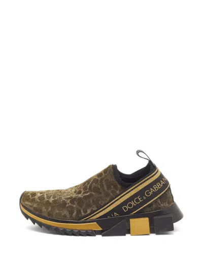 Pre-owned Dolce & Gabbana Sorrento Leopard-print Sneakers In Brown