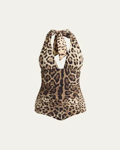 Dolce & Gabbana Stampa Leo One-piece Swimsuit In Leoprd