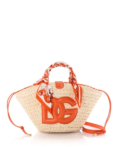 Dolce & Gabbana Straw Tote Bag In Multi
