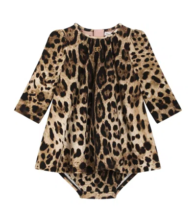 Dolce & Gabbana Kids' Stretch-cotton Leopard Bodysuit In Brown