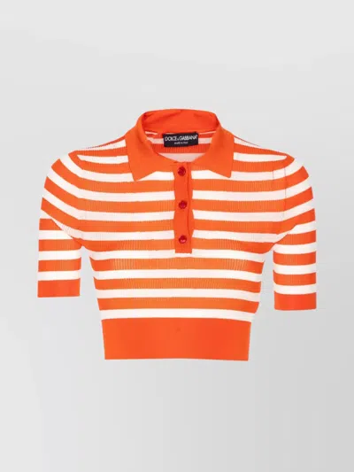 Dolce & Gabbana Striped Polo Collar Cropped Top In Orange