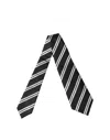 Dolce & Gabbana Striped Silk Necktie In Multi
