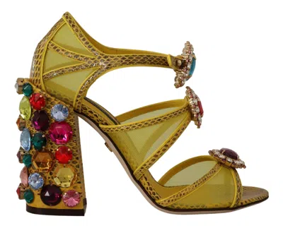 Dolce & Gabbana Leather Crystal Ayers Mesh Snakeskin Sandals In Yellow