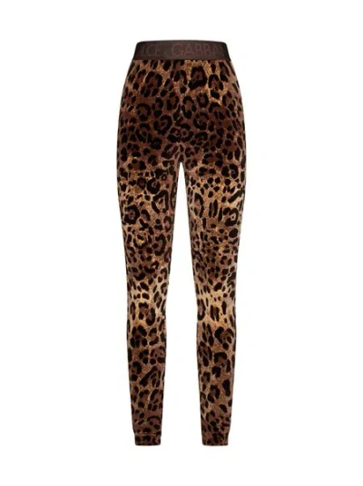Dolce & Gabbana Leopard Print Back Zip Leggings For Women In Beige In Multi