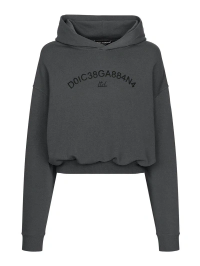 Dolce & Gabbana Cropped Hoodie With Dolce&gabbana Logo In Gris