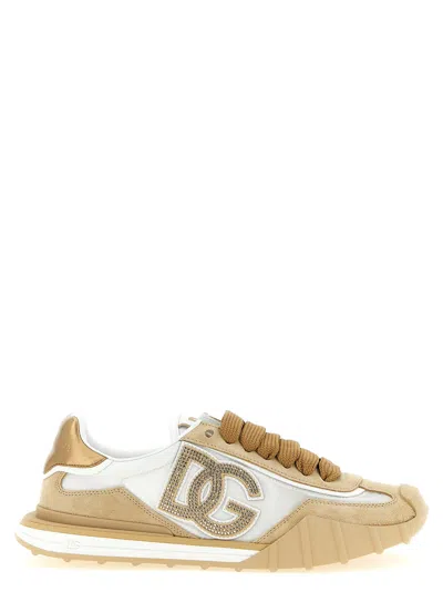 Dolce & Gabbana Suede And Canvas With Rhinestone Logo Sneaker In Multi