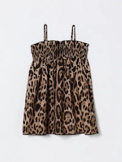 Dolce & Gabbana Kids' Anzug  Kinder Farbe Braun In Brown